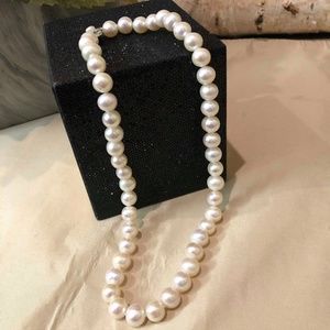 Freshwater Pearl necklace, White